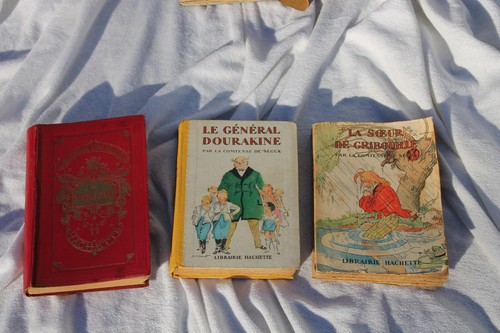 Livres comtesse de - 3, segur