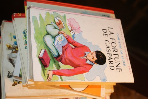 Bibliotheque rose la fortune - la,